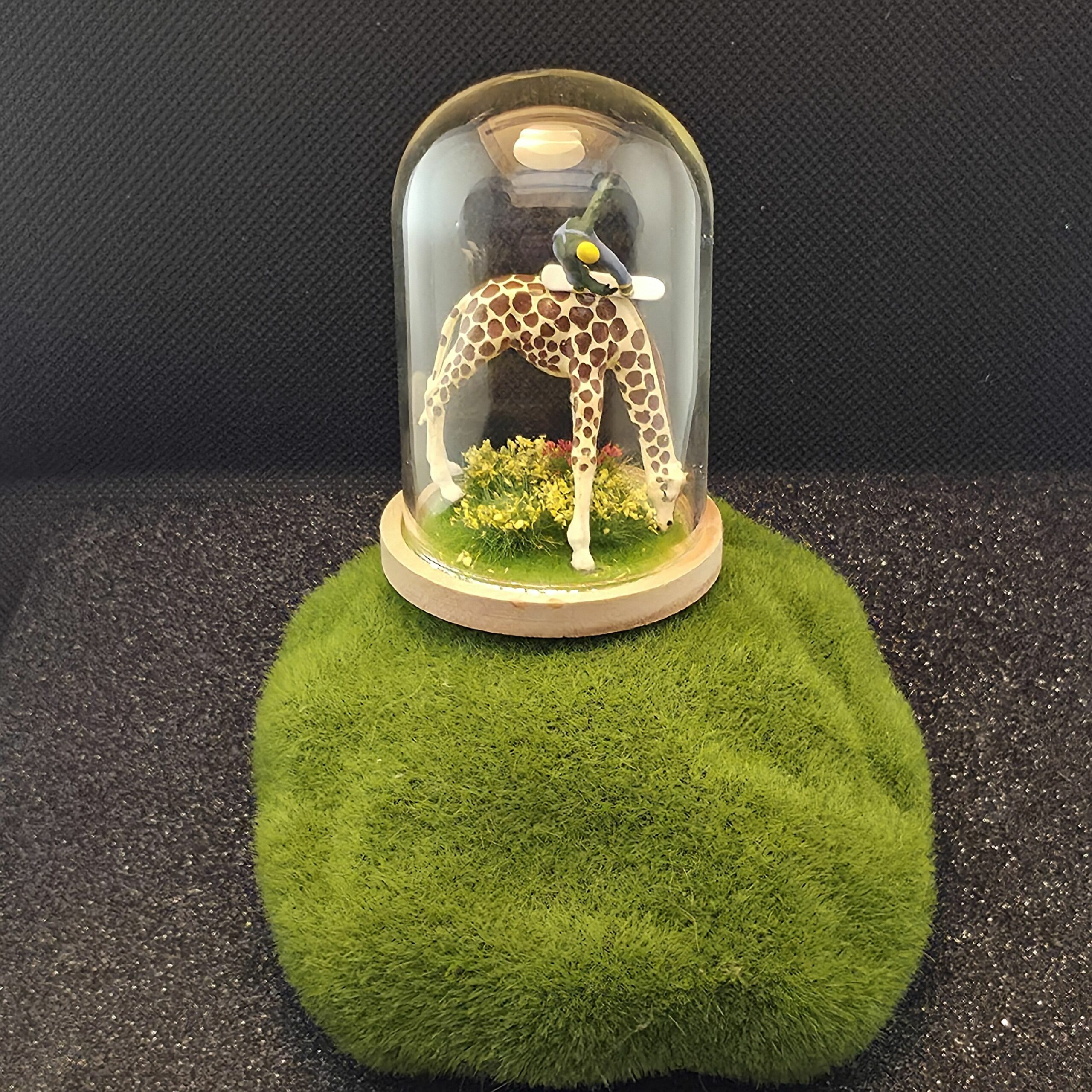 grande bulle de verre sur socle en bois contenant une girafe sur laquelle surfe un snowboardeur - petite planete