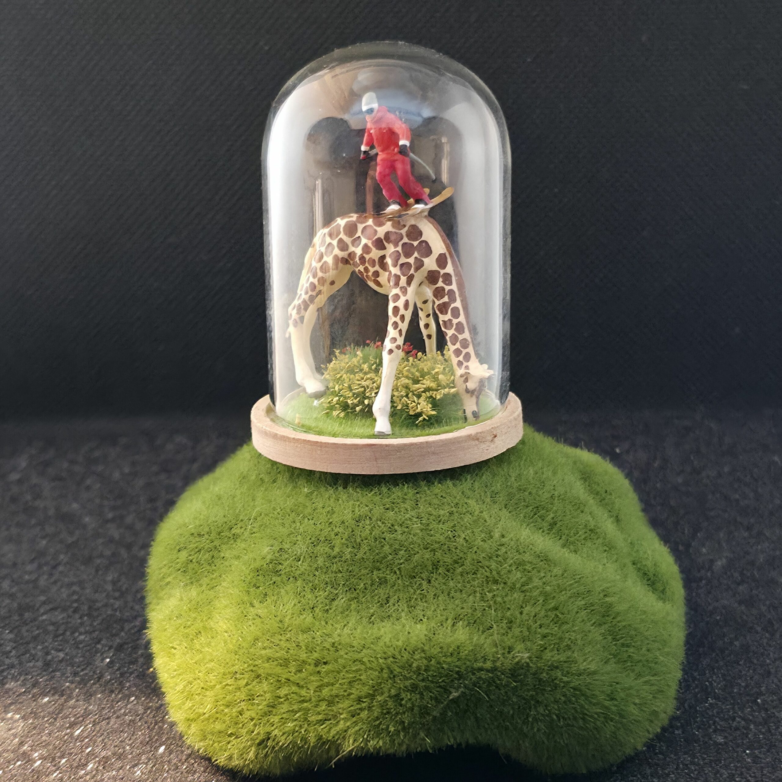 grande bulle de verre sur socle en bois contenant une girafe sur laquelle skie un skieur - petite planete