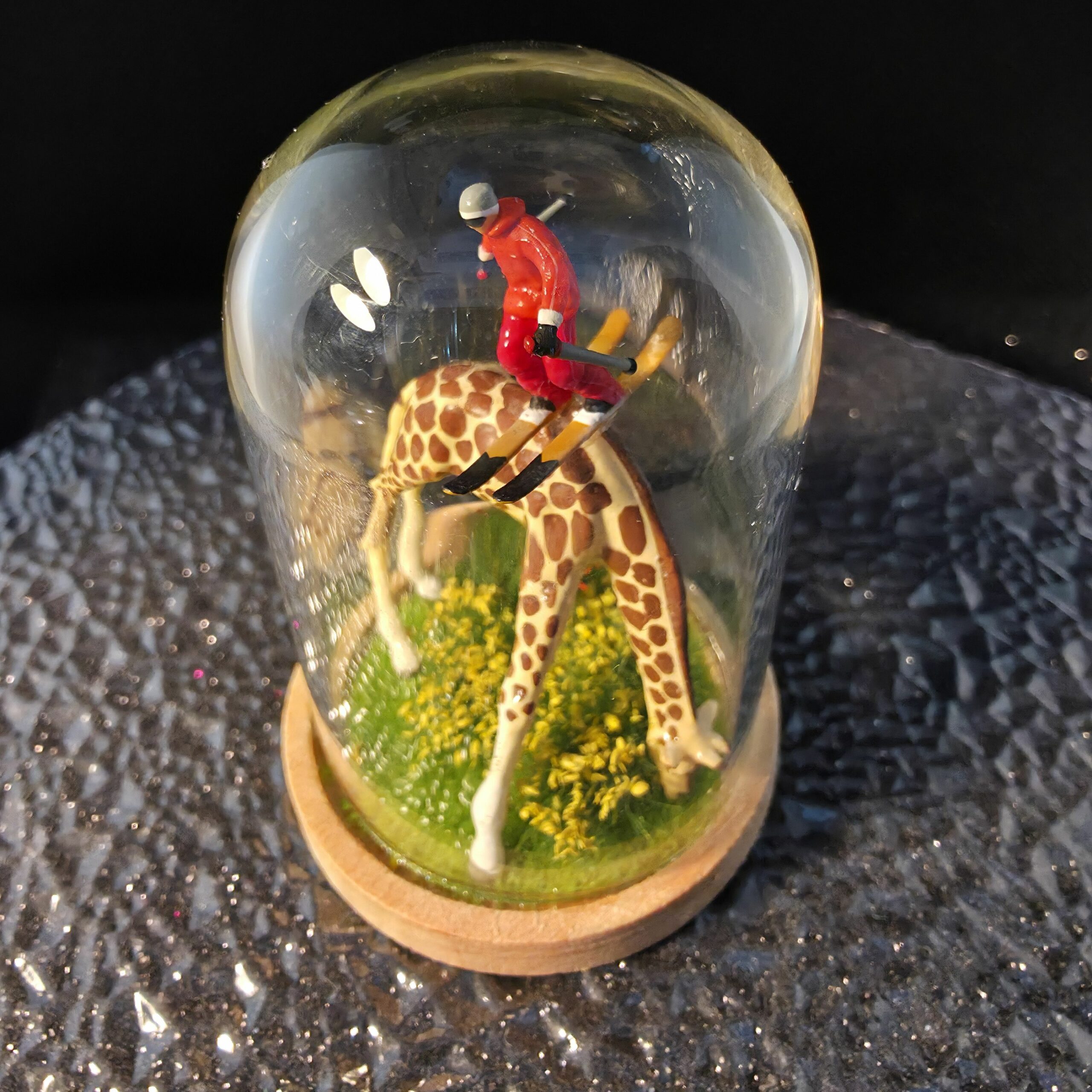 grande bulle de verre sur socle en bois contenant une girafe sur laquelle skie un skieur - petite planete