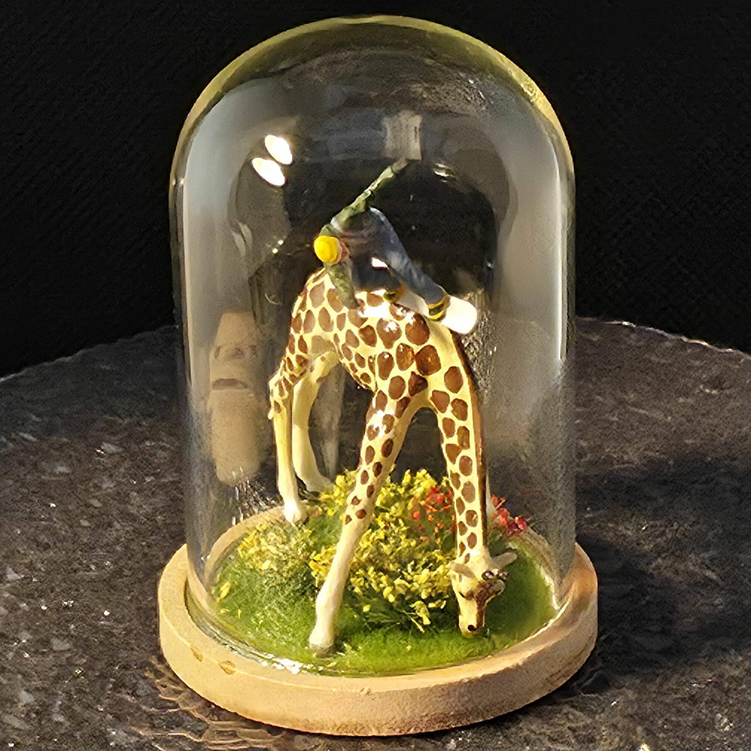 grande bulle de verre sur socle en bois contenant une girafe sur laquelle surfe un snowboardeur - petite planete