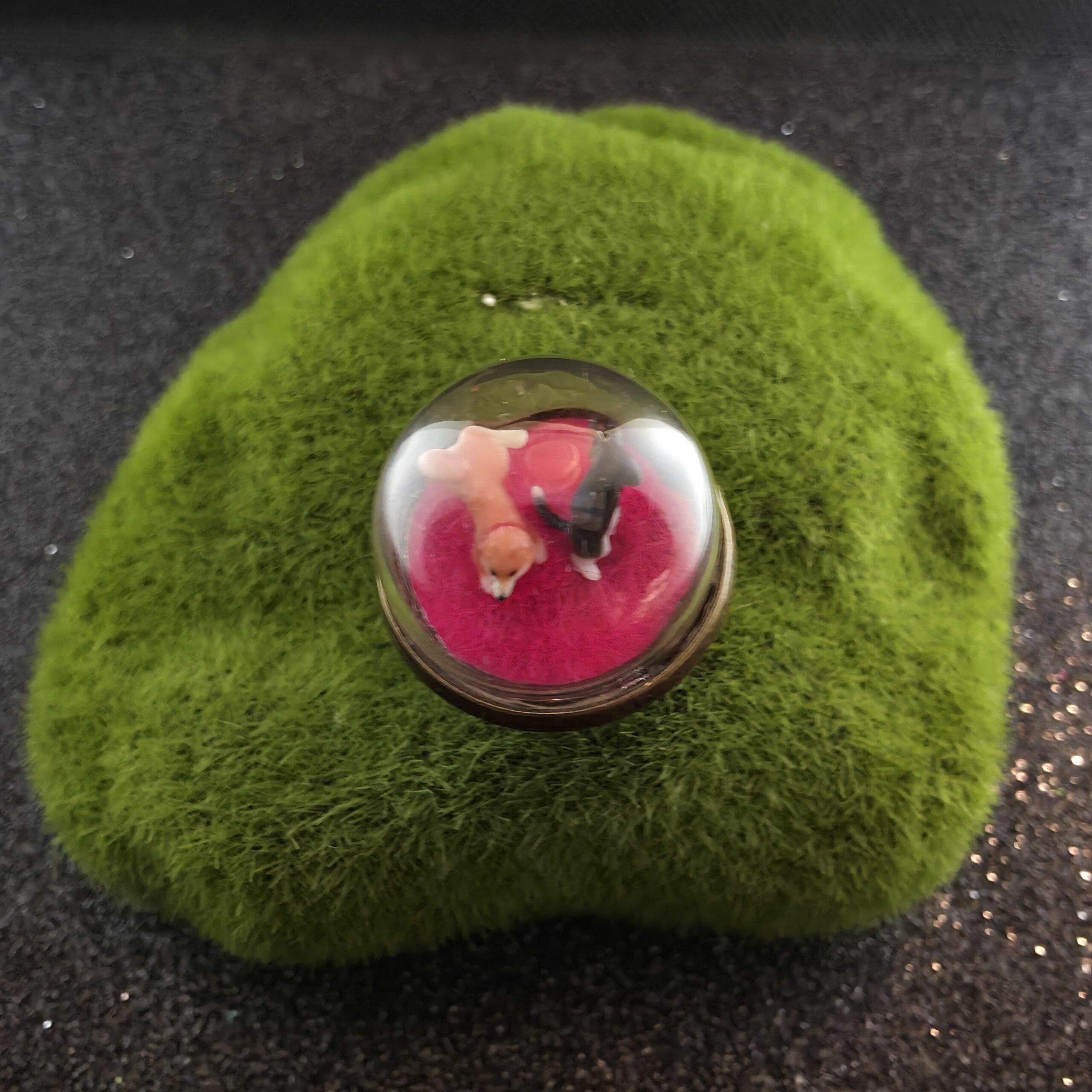 Bague métal et bulle de verre exposant un chien (shiba) et un chat se disputant