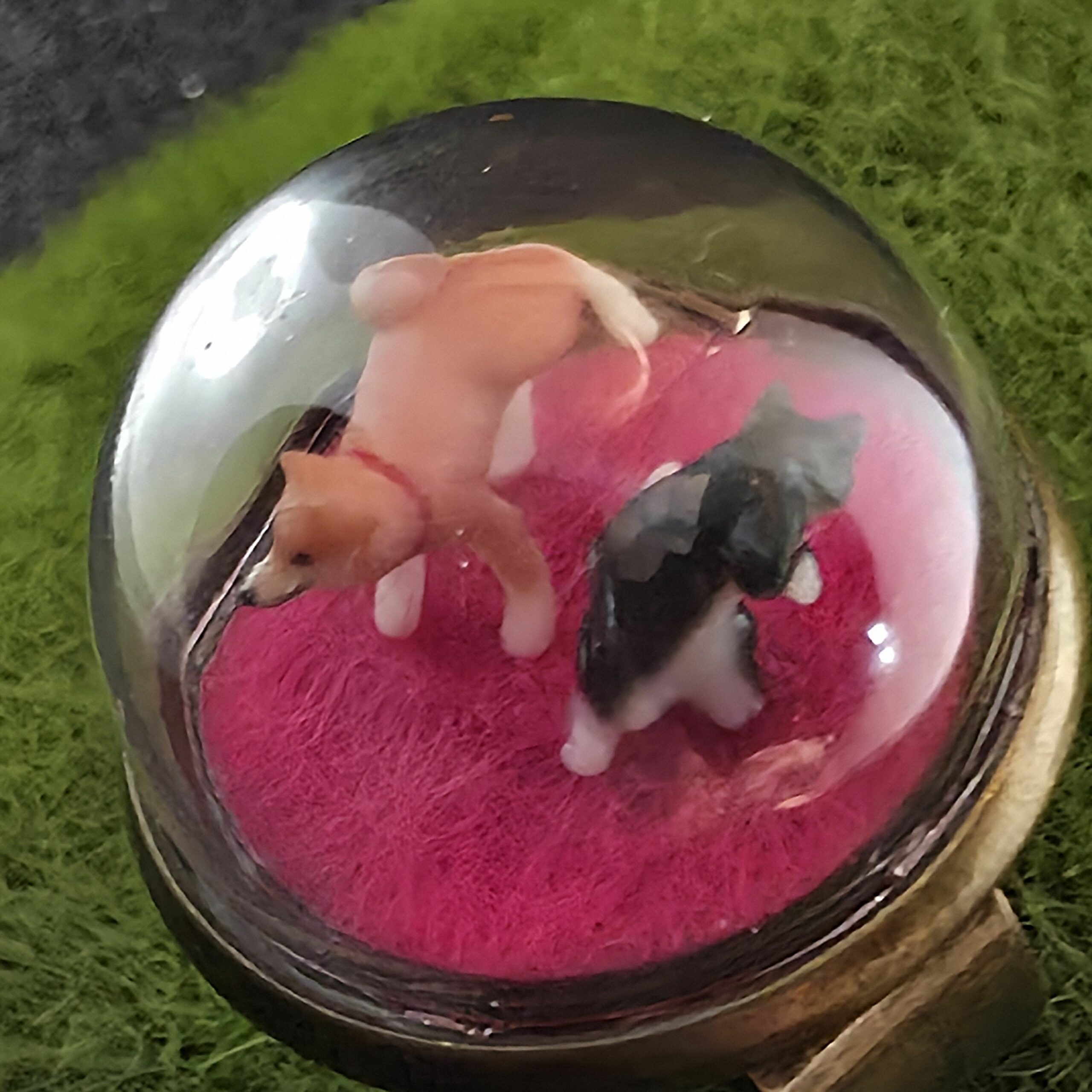 Bague métal et bulle de verre exposant un chien (shiba) et un chat se disputant