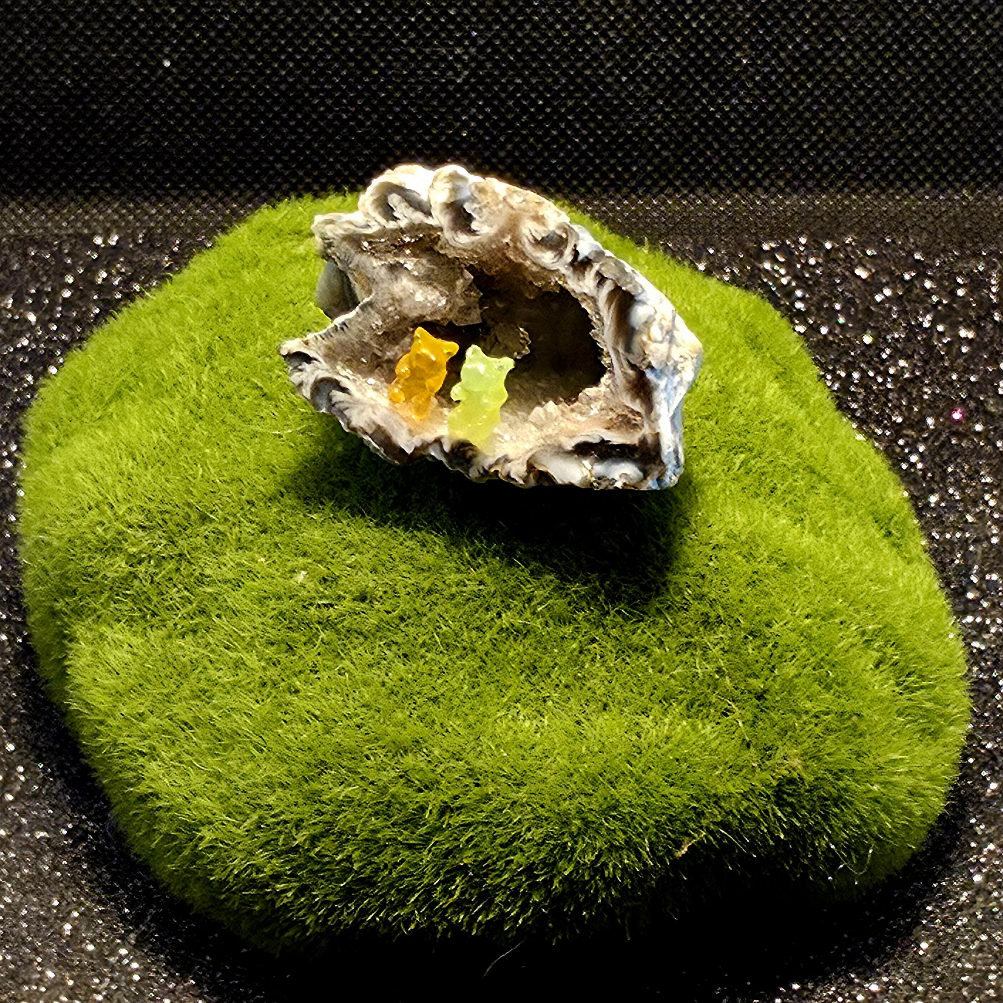 Petit cristal de roche présentant deux oursons haribo minuscules gardant l'entrée de la grotte